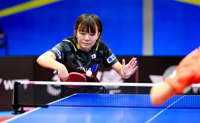 形成互补的 形成互补的