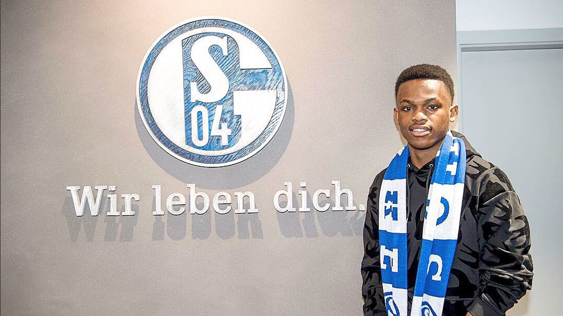 平性与观赏 平性与观赏